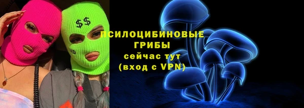 дживик Белоозёрский