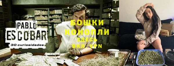дживик Белоозёрский