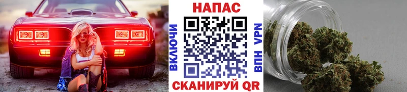 где купить   Кочубеевское  Конопля марихуана 
